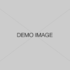 demo-image 5