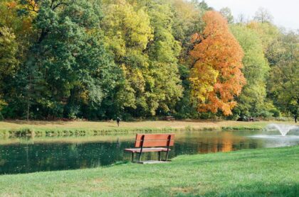 A peaceful park scene with autumn trees, a bench by the river, and a fountain.